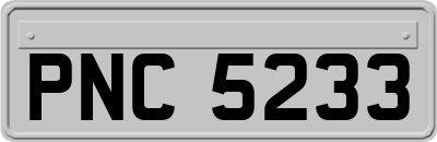PNC5233