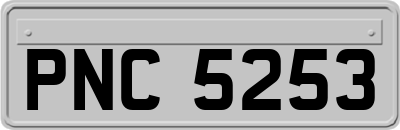 PNC5253