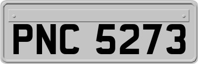 PNC5273