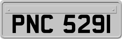 PNC5291