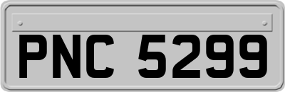 PNC5299