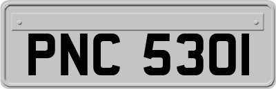 PNC5301