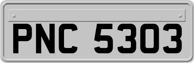 PNC5303