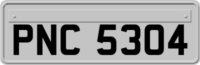 PNC5304