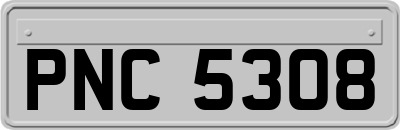 PNC5308