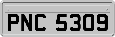 PNC5309