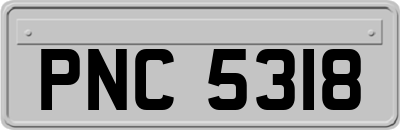 PNC5318