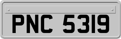 PNC5319