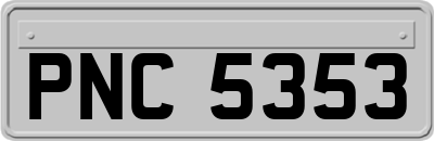 PNC5353