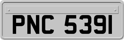 PNC5391