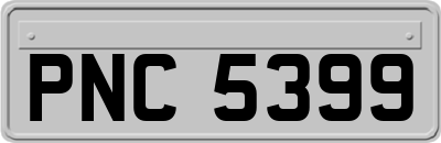 PNC5399