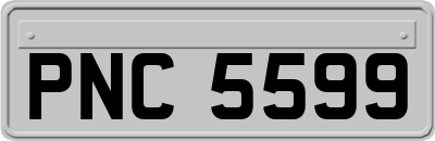 PNC5599