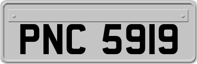 PNC5919