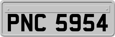 PNC5954