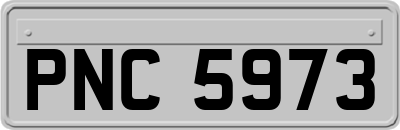 PNC5973