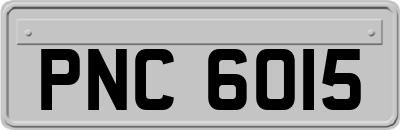 PNC6015