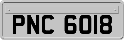 PNC6018