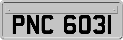 PNC6031