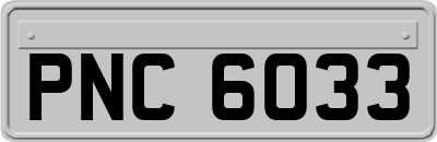 PNC6033