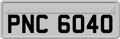 PNC6040