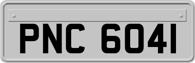PNC6041