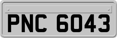 PNC6043