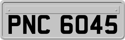 PNC6045