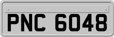 PNC6048