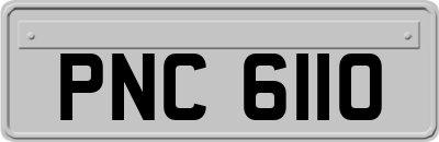 PNC6110