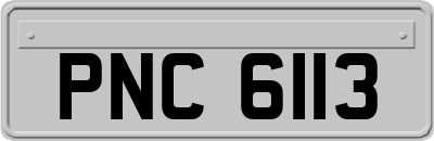 PNC6113