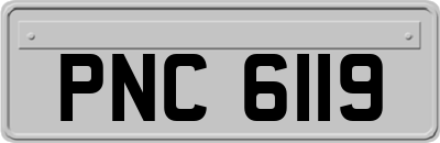 PNC6119