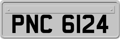 PNC6124