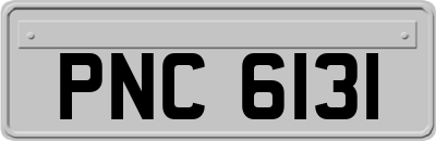 PNC6131