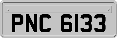 PNC6133