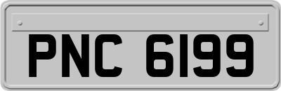 PNC6199