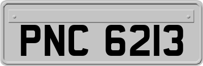 PNC6213
