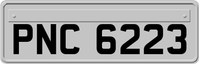 PNC6223