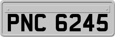 PNC6245