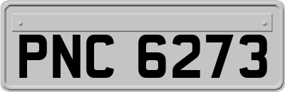 PNC6273