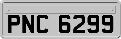 PNC6299