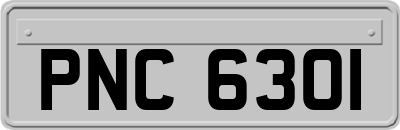PNC6301