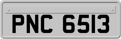 PNC6513