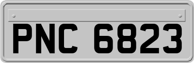 PNC6823