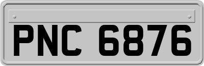 PNC6876