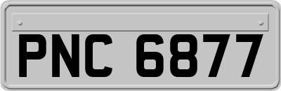 PNC6877