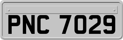 PNC7029