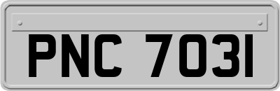 PNC7031