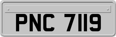 PNC7119