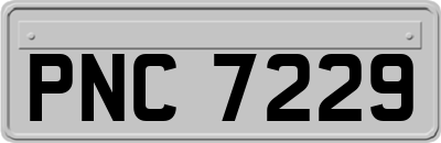PNC7229