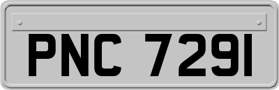 PNC7291